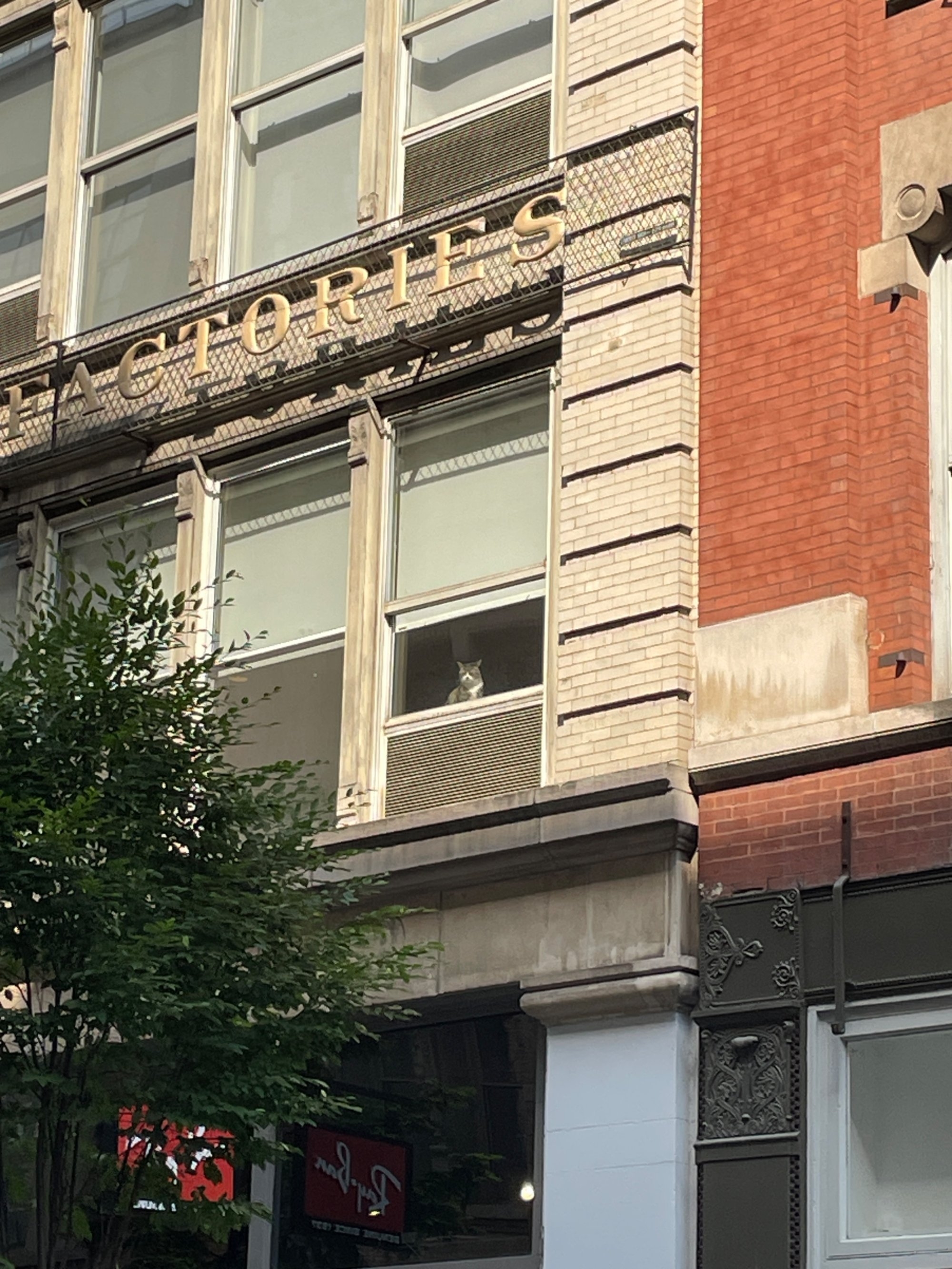 carousel-hero-element image-0